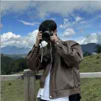 Dengta NPV for China Ryan Profile
